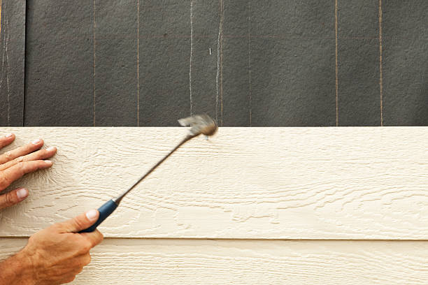 Best Siding for New Construction  in St Maries, ID